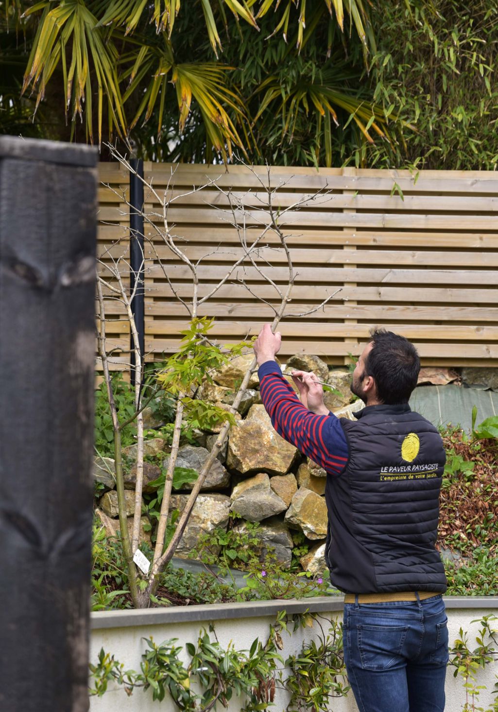 Aménagement d'un jardin paysager près de Brest dans le Finistère Aménagement d'un jardin paysager près de Brest dans le Finistère